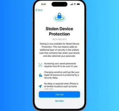 庐山苹果授权维修店分享被盗设备保护功能开启方法 