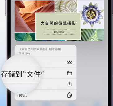 庐山apple维修中心分享iPhone文件应用中存储和找到下载文件