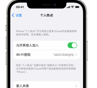 庐山apple服务站点分享iPhone上个人热点丢失了怎么办