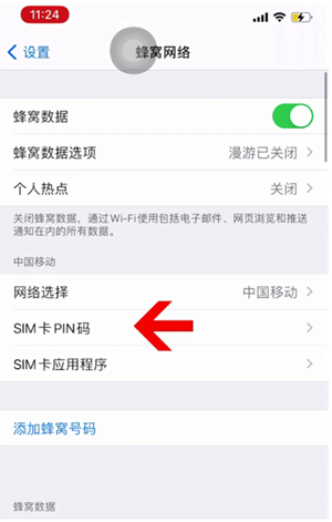 庐山苹果14维修网分享如何给iPhone14的SIM卡设置密码 