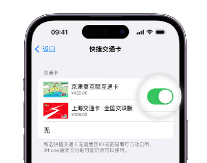 庐山apple维修点分享iPhone上更换Apple Pay快捷交通卡手绘卡面 