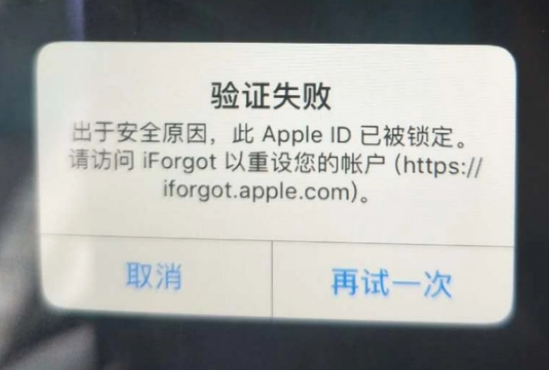 庐山iPhone维修分享iPhone上正常登录或使用AppleID怎么办 