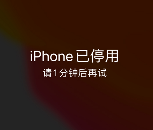 庐山苹果手机维修分享:iPhone 显示“不可用”或“已停用”怎么办？还能保留数据吗？ 