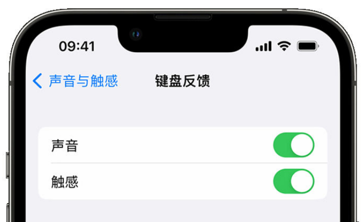 庐山苹果手机维修分享iPhone 14触感键盘使用方法 