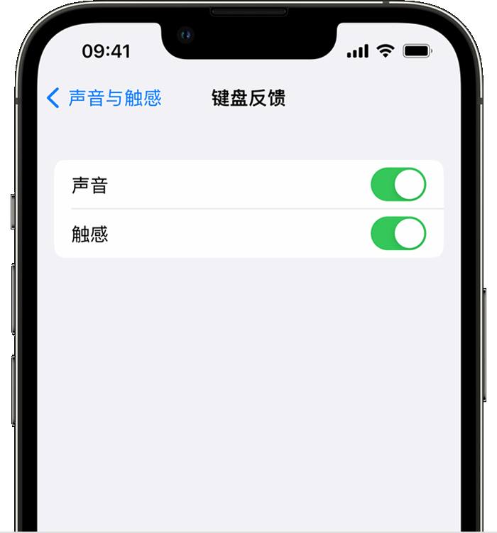 庐山苹果14维修店分享如何在 iPhone 14 机型中使用触感键盘 