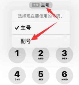 庐山苹果14维修店分享iPhone 14 Pro Max使用副卡打电话的方法 