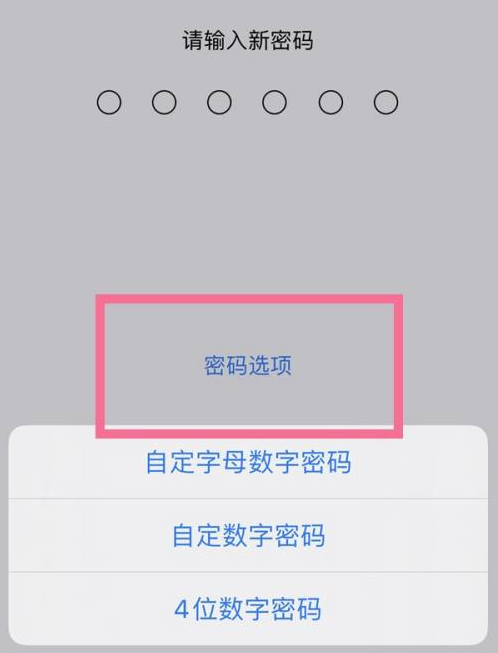 庐山苹果14维修分享iPhone 14plus设置密码的方法 