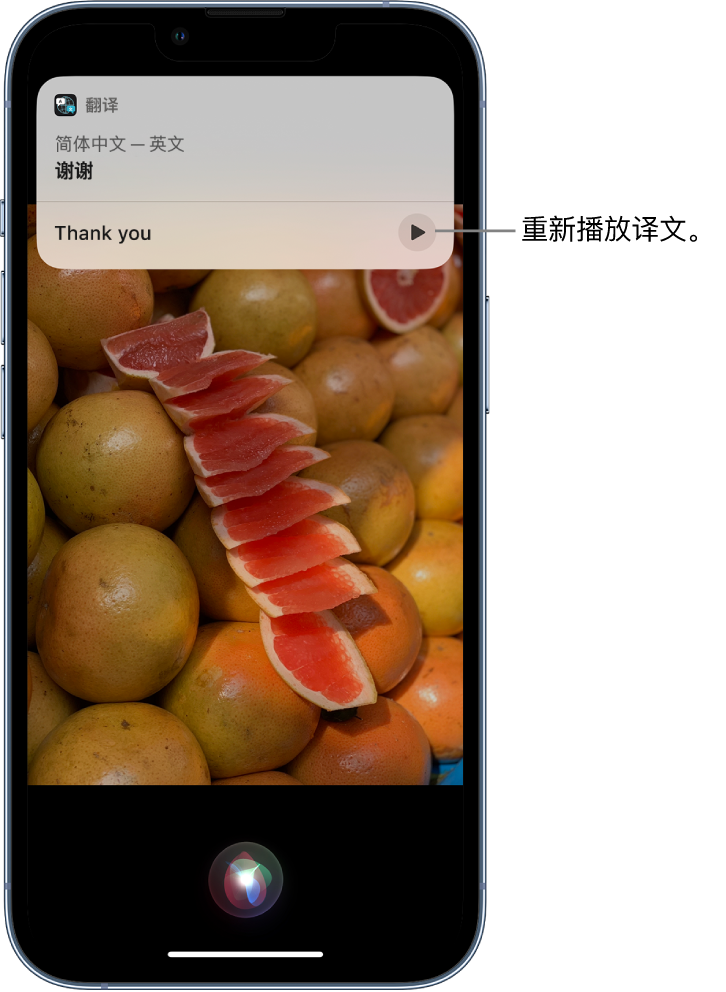 庐山苹果14维修分享 iPhone 14 机型中使用 Siri：了解 Siri 能帮你做什么 