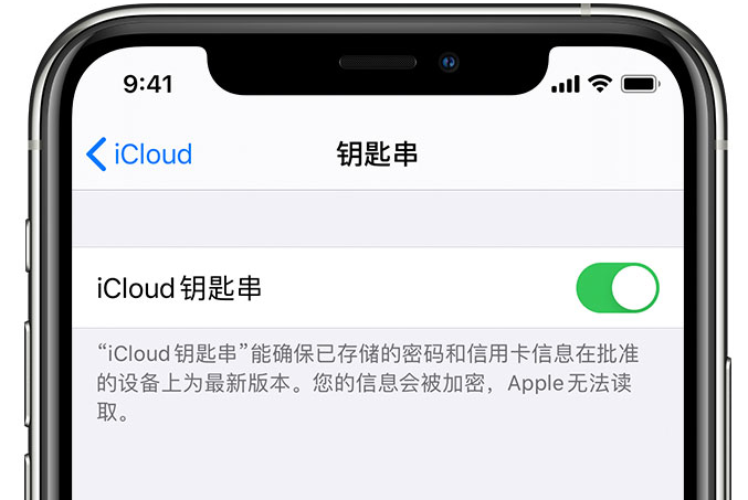 庐山苹果手机维修分享在 iPhone 上开启 iCloud 钥匙串之后会储存哪些信息 