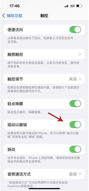 庐山苹果手机维修分享iPhone手机如何设置摇一摇删除文字 