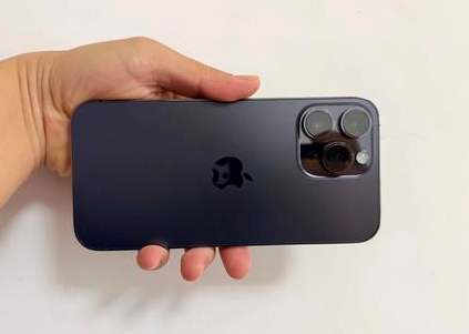 庐山苹果维修点分享iPhone 14 Pro Max黑屏少见故障盘点 